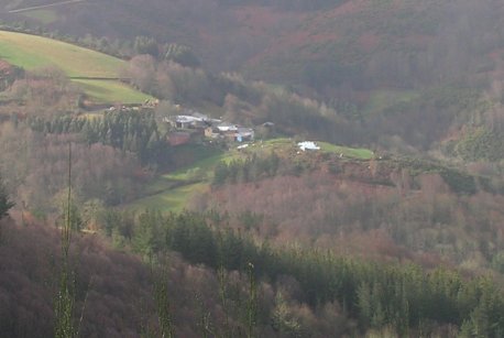 Coto Xunqueira de Lamas de Moreira, A Fonsagrada (Lugo)